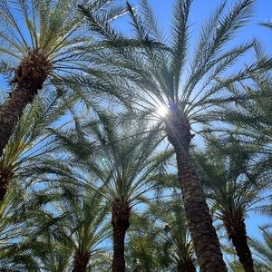 Meet your Posher, Jaime